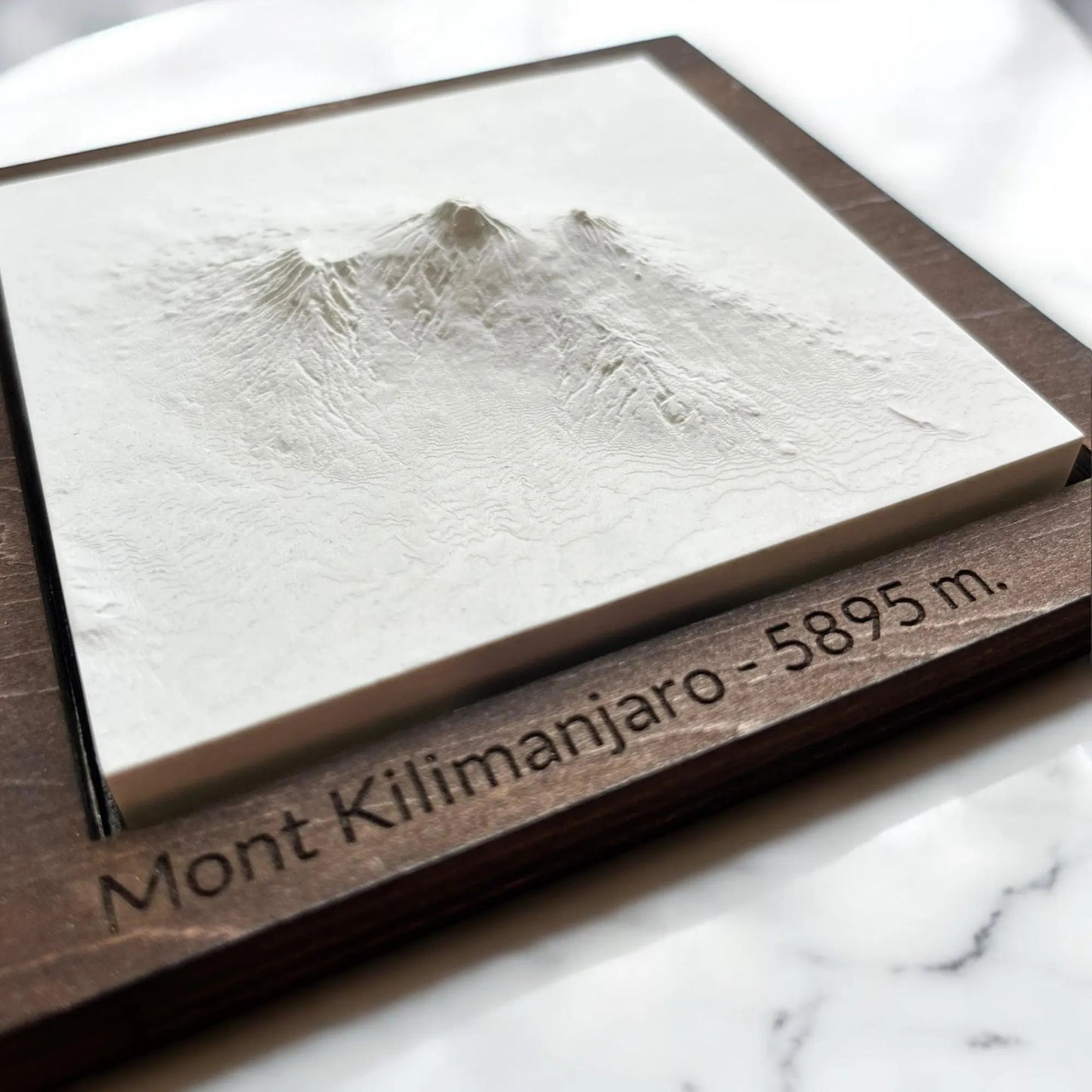 Carte 3D du Mont Kilimanjaro - Moulage en Béton Clair - Topographie du Plus Haut Sommet d'Afrique - Sans Base en Bois - Sous les Toits de Paris