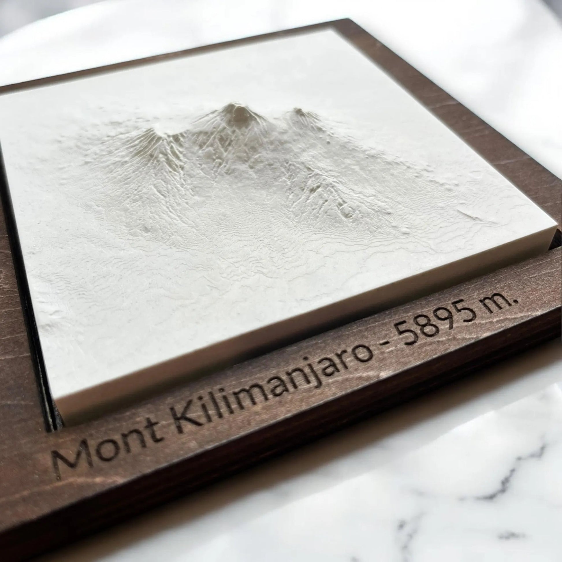 Carte 3D du Mont Kilimanjaro - Moulage en Béton Clair - Topographie du Plus Haut Sommet d'Afrique - Sans Base en Bois - Sous les Toits de Paris