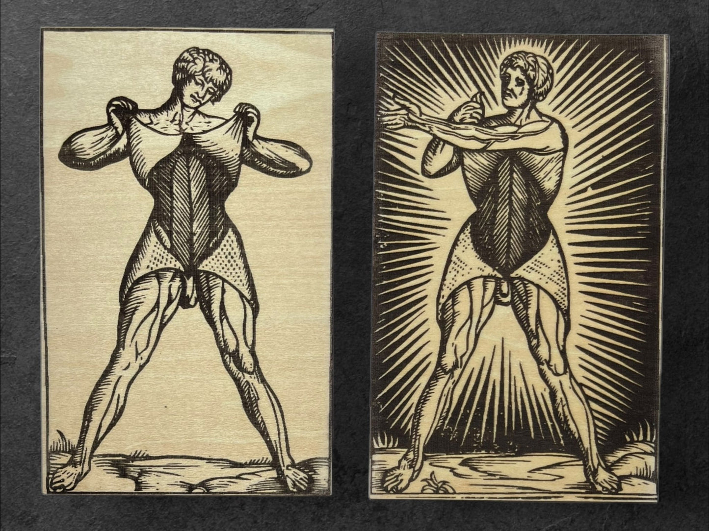 Planches Anatomiques - Panneau en Bois - Écorchés - André Vésale - Lot de 4 - Sous les Toits de Paris