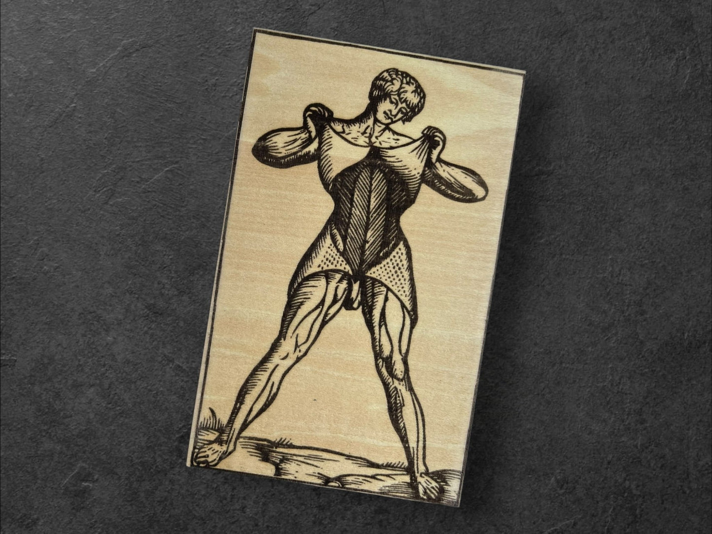 Planches Anatomiques - Panneau en Bois - Écorchés - André Vésale - Planche 2 - Sous les Toits de Paris