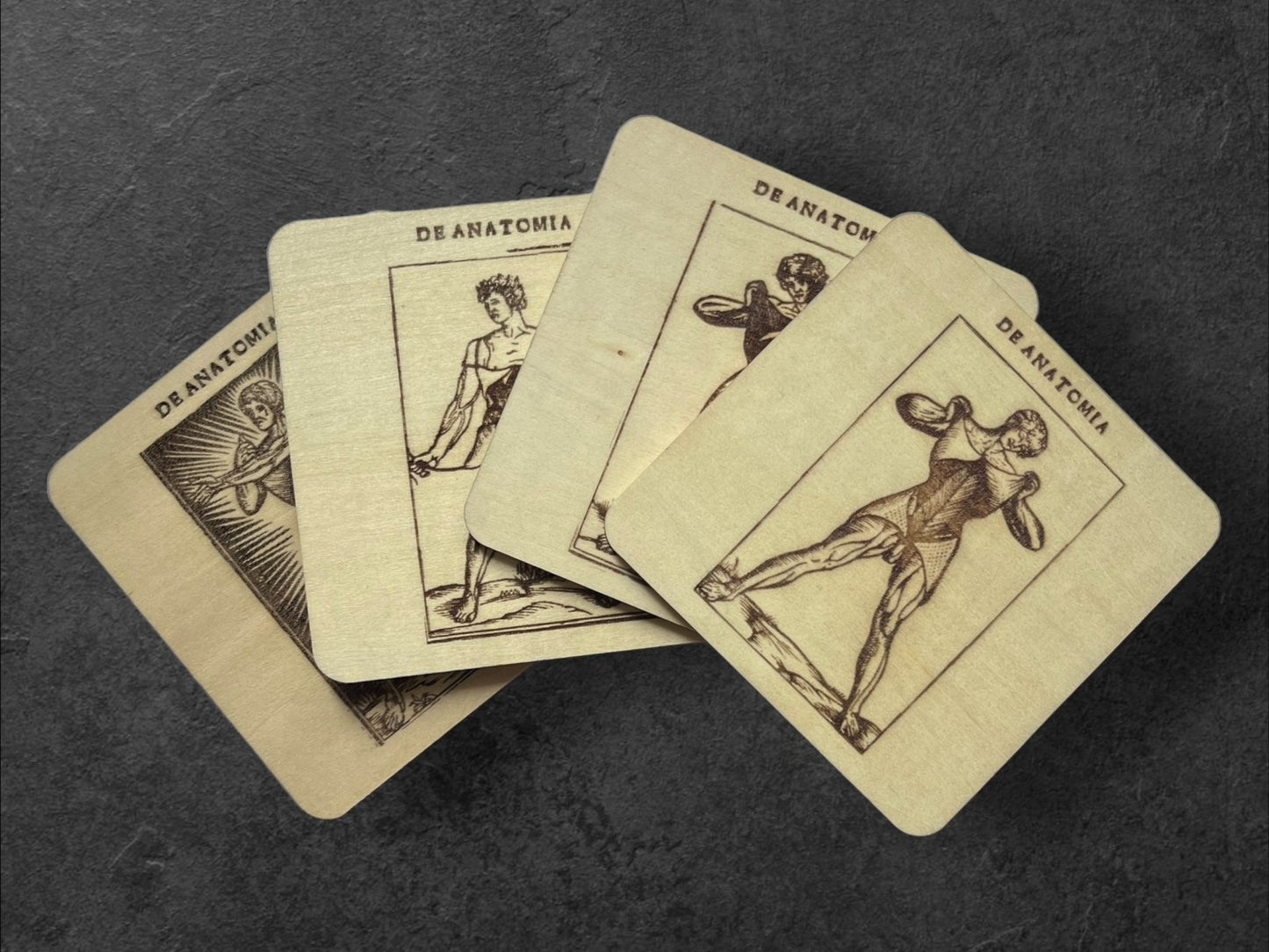 Sous Verres en Bois - Série Planches Anatomiques - Écorchés - André Vésale - Lot de 4 - Sous les Toits de Paris