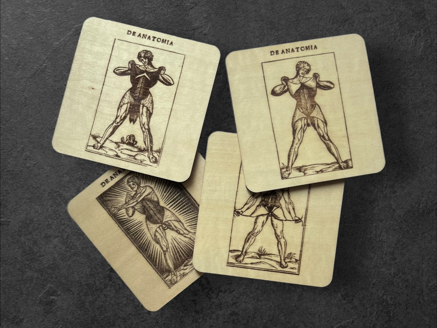 Sous Verres en Bois - Série Planches Anatomiques - Écorchés - André Vésale - Lot de 4 - Sous les Toits de Paris