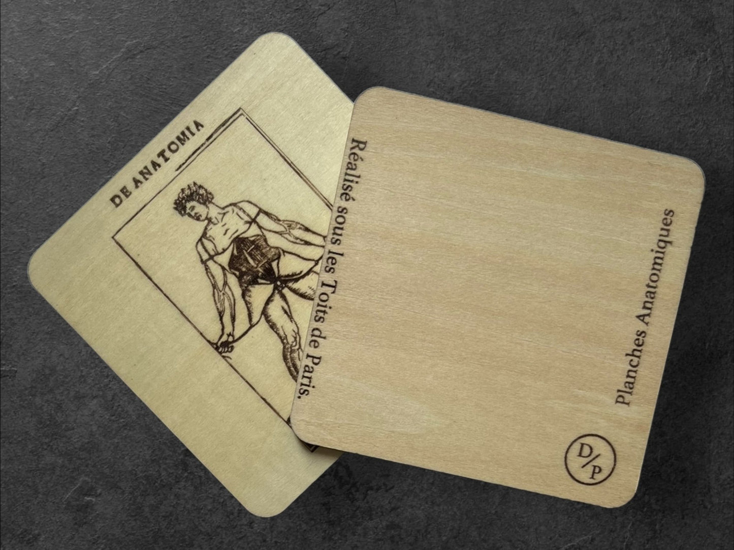 Sous Verres en Bois - Série Planches Anatomiques - Écorchés - André Vésale - Lot de 4 - Sous les Toits de Paris