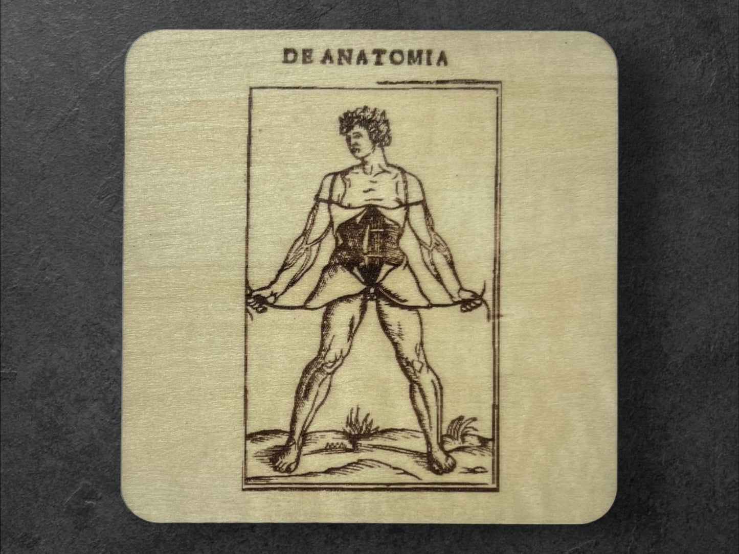 Sous Verres en Bois - Série Planches Anatomiques - Écorchés - André Vésale - Planche 2 - Sous les Toits de Paris