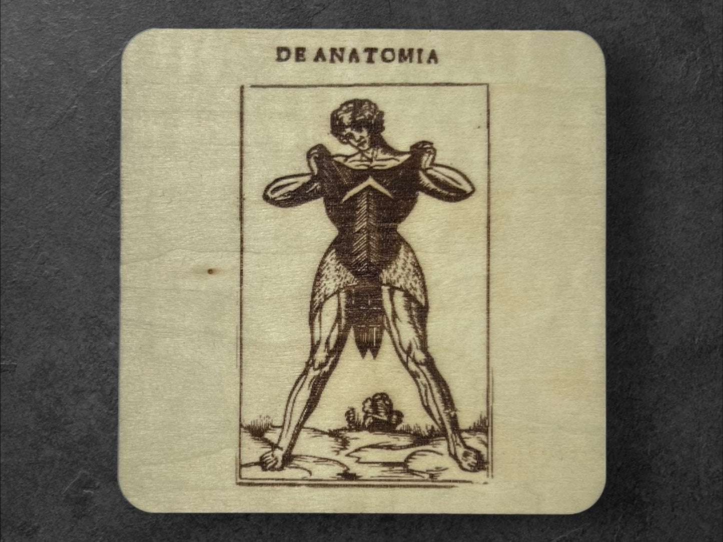 Sous Verres en Bois - Série Planches Anatomiques - Écorchés - André Vésale - Planche 3 - Sous les Toits de Paris
