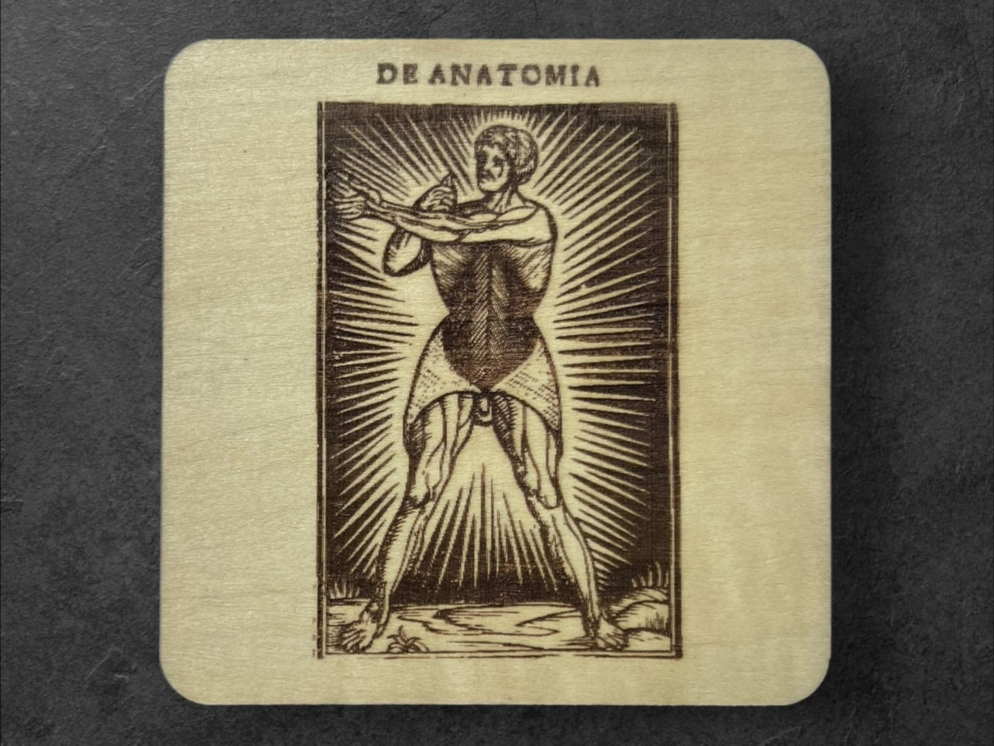 Sous Verres en Bois - Série Planches Anatomiques - Écorchés - André Vésale - Planche 4 - Sous les Toits de Paris