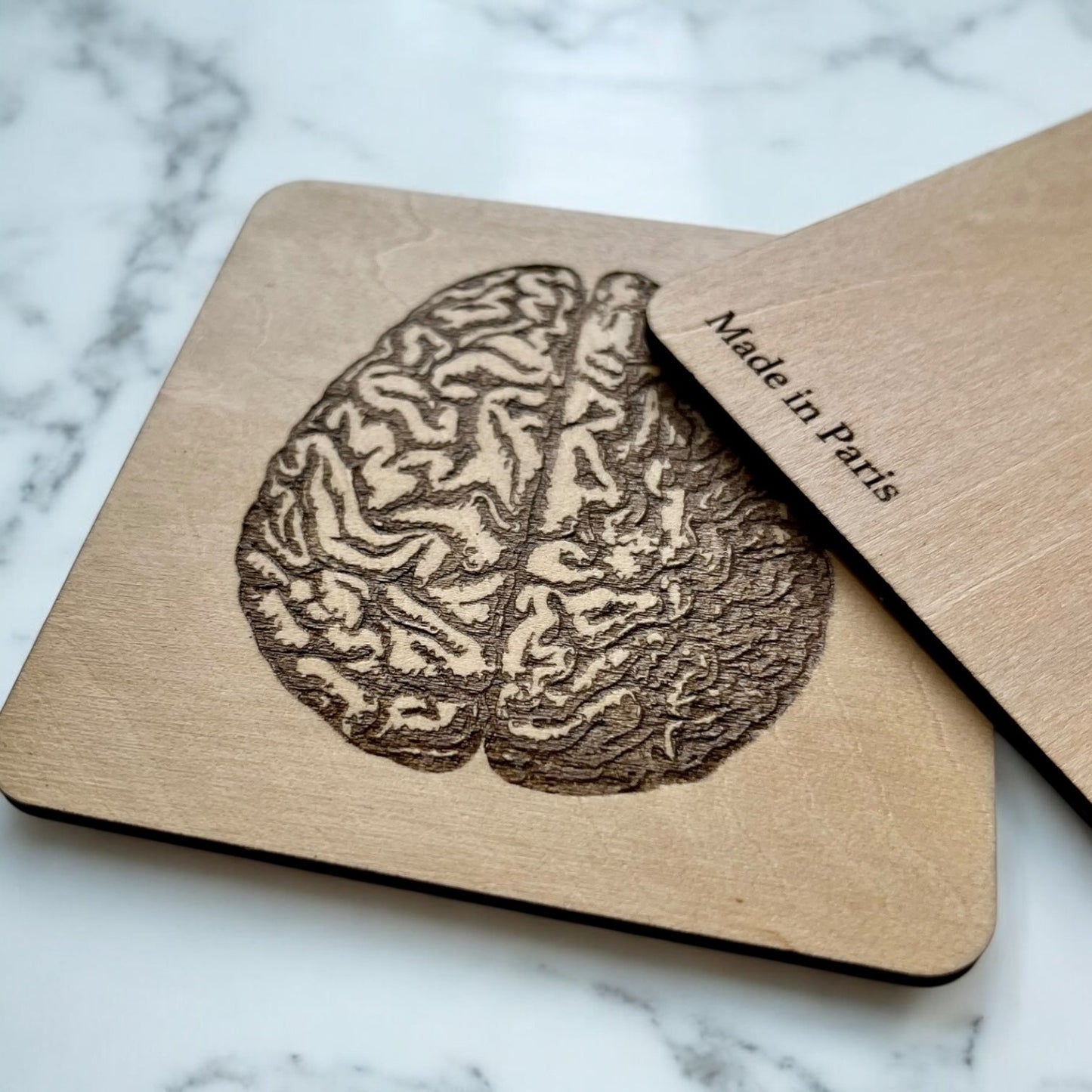 Sous Verres en Bois - Série Planches Anatomiques - Membres, Cerveau - André Vésale - Lot de 3 - Sous les Toits de Paris
