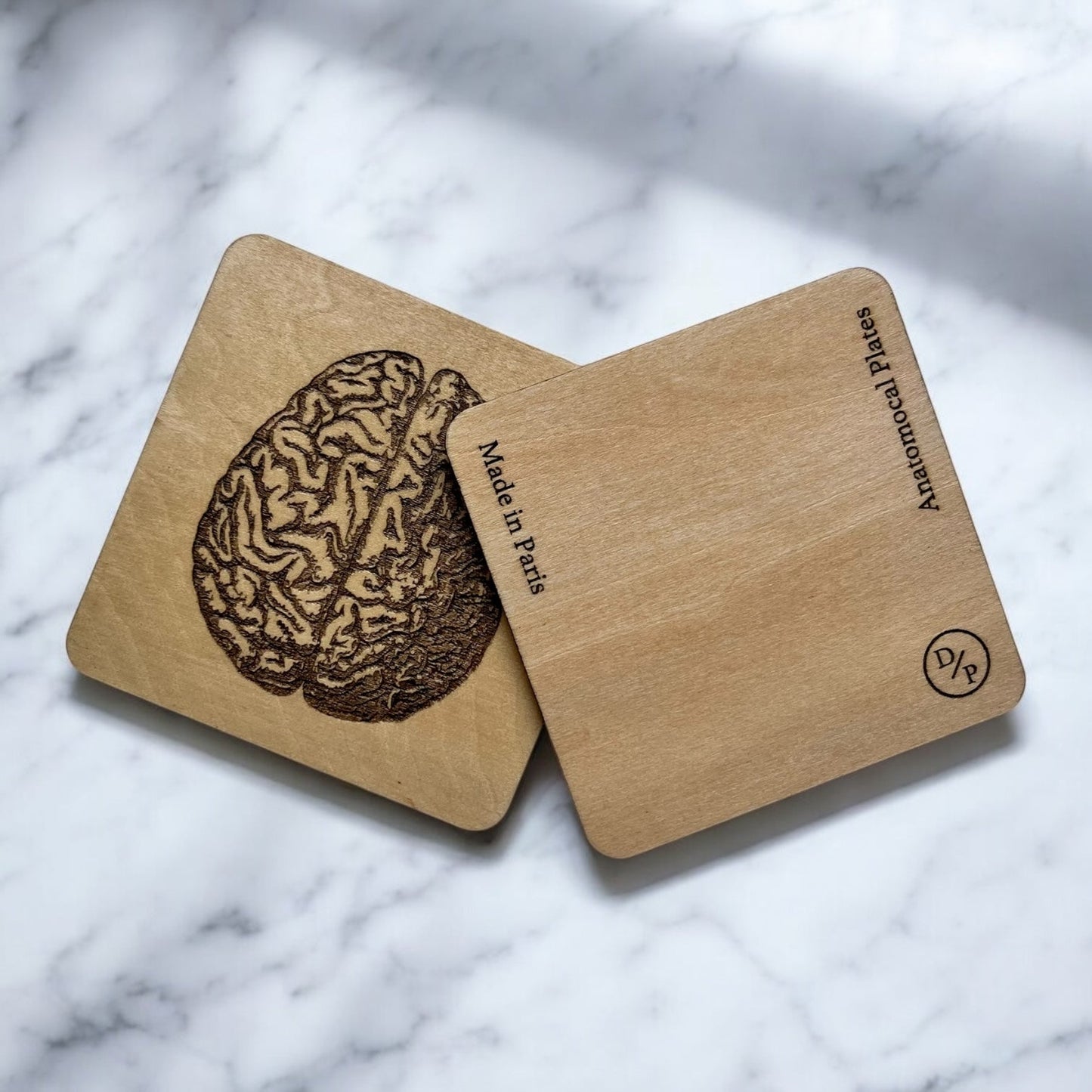 Sous Verres en Bois - Série Planches Anatomiques - Membres, Cerveau - André Vésale - Lot de 3 - Sous les Toits de Paris