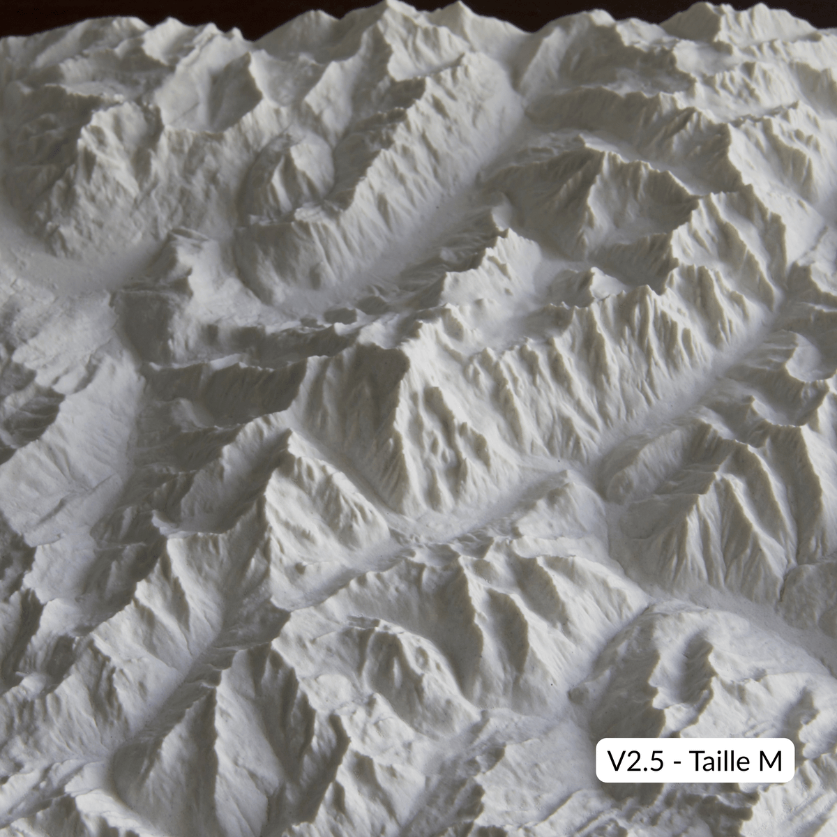 Carte en Relief du Mont Blanc - Topographie de la Vallée de Chamonix - Sans Base en Bois - Sous les Toits de Paris