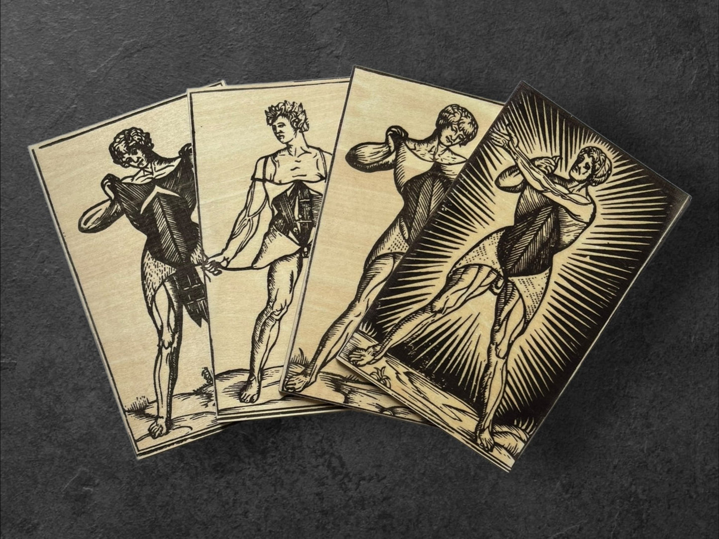 Planches Anatomiques - Panneau en Bois - Écorchés - André Vésale - Lot de 4 - Sous les Toits de Paris
