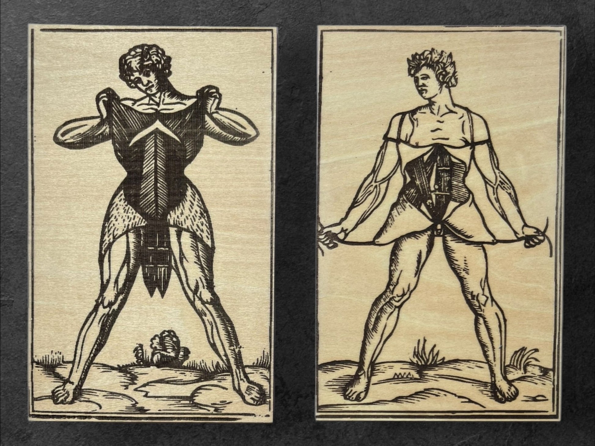 Planches Anatomiques - Panneau en Bois - Écorchés - André Vésale - Lot de 4 - Sous les Toits de Paris