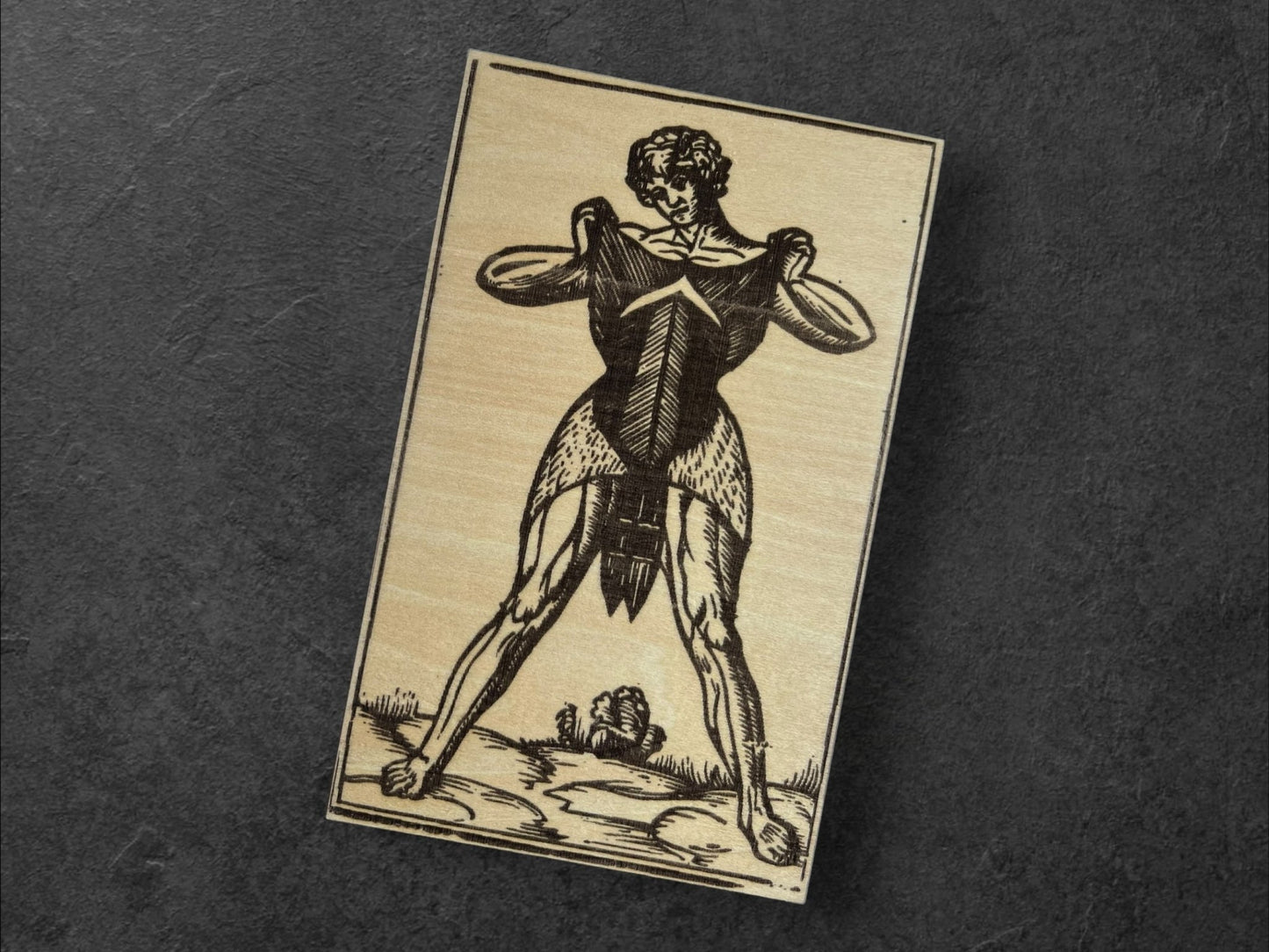 Planches Anatomiques - Panneau en Bois - Écorchés - André Vésale - Planche 3 - Sous les Toits de Paris