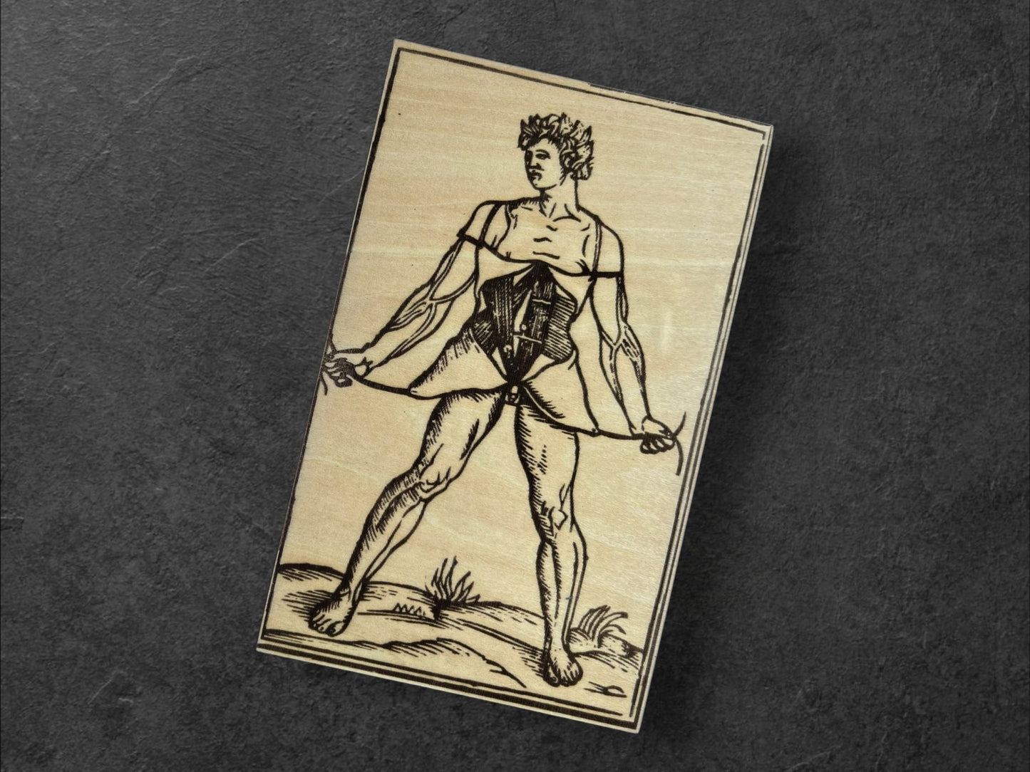 Planches Anatomiques - Panneau en Bois - Écorchés - André Vésale - Planche 4 - Sous les Toits de Paris