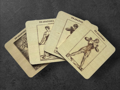 Sous Verres en Bois - Série Planches Anatomiques - Écorchés - André Vésale - Lot de 4 - Sous les Toits de Paris