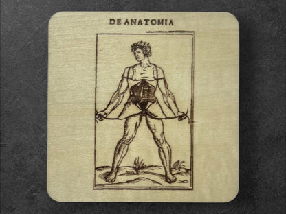 Sous Verres en Bois - Série Planches Anatomiques - Écorchés - André Vésale - Planche 2 - Sous les Toits de Paris