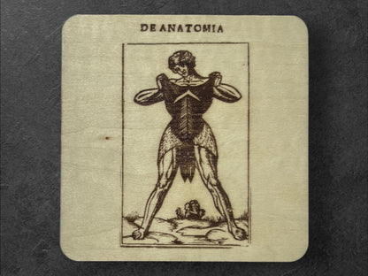 Sous Verres en Bois - Série Planches Anatomiques - Écorchés - André Vésale - Planche 3 - Sous les Toits de Paris