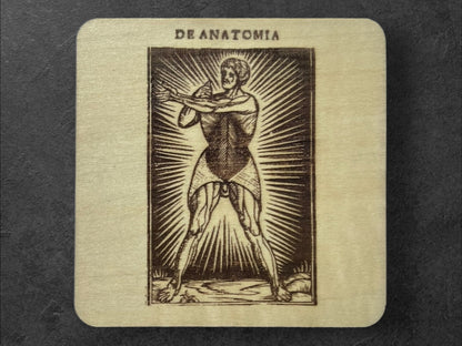 Sous Verres en Bois - Série Planches Anatomiques - Écorchés - André Vésale - Planche 4 - Sous les Toits de Paris